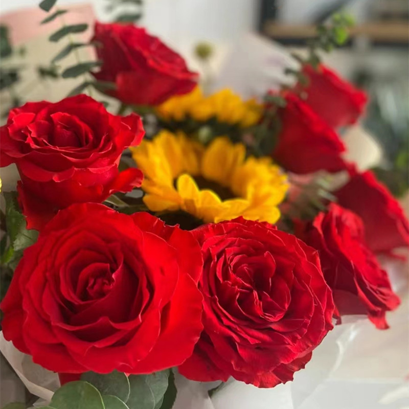 最好的祝福——10支精品红玫瑰+向日葵