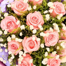 牵手的幸福——11支精品粉玫瑰